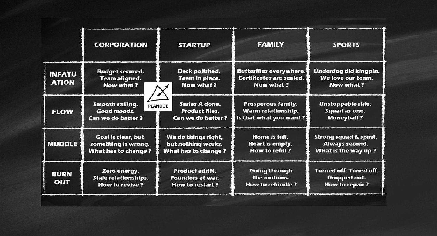 PLANDGE Matrix across life situations